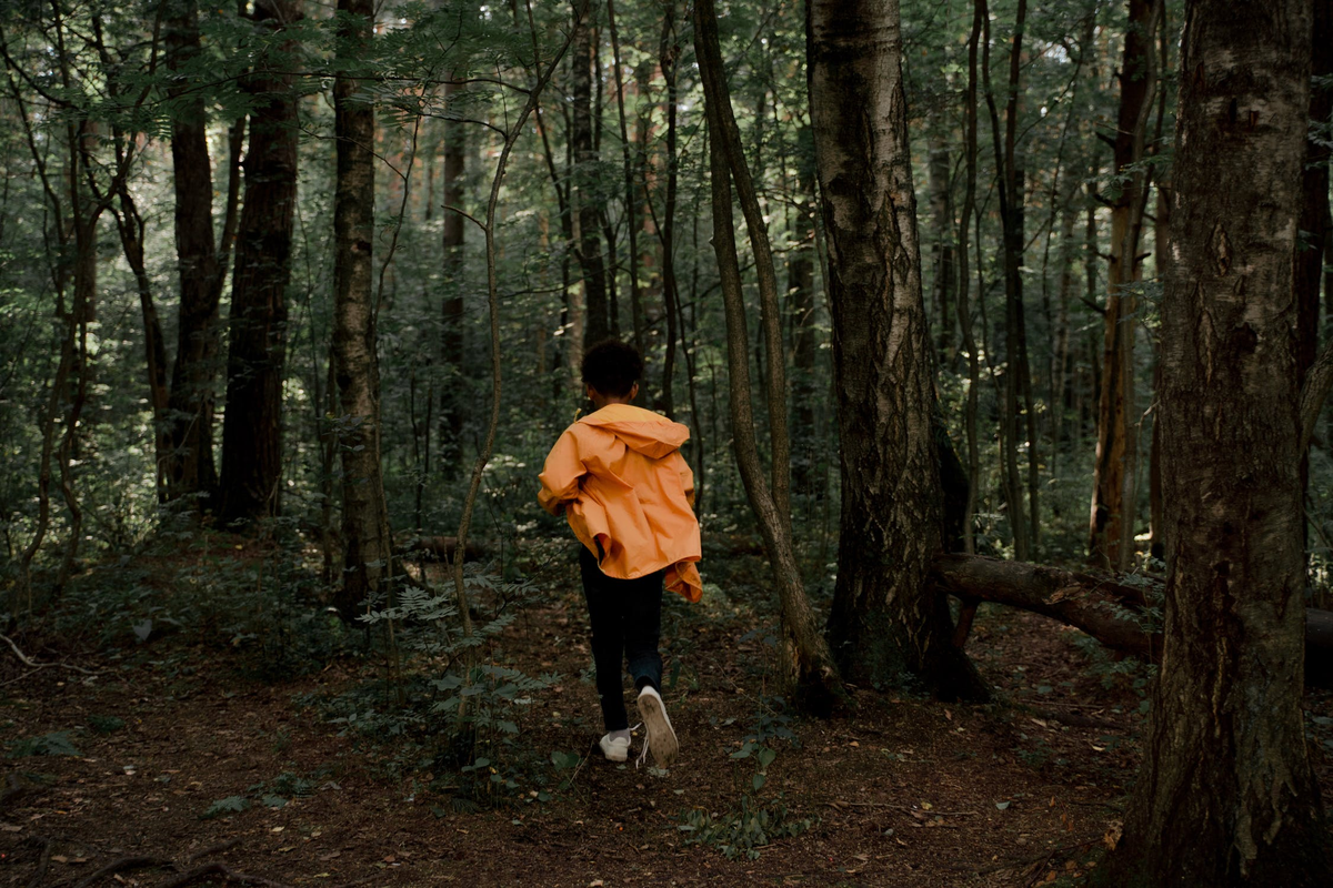 scale_1200 (22).png